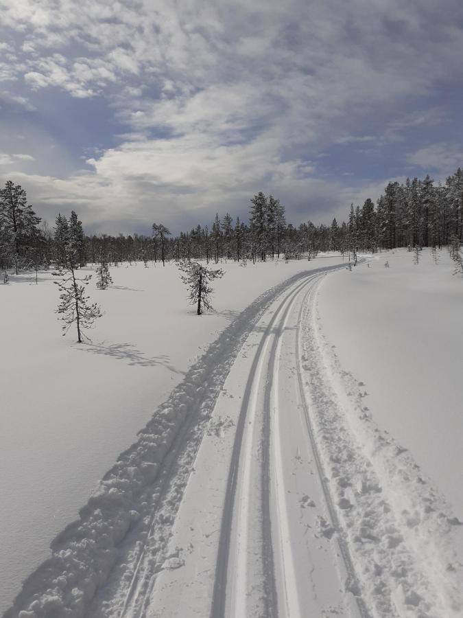 شقة Lapphouse Puistola Palojoensuu المظهر الخارجي الصورة