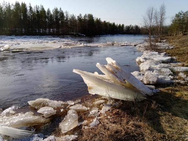 شقة Lapphouse Puistola Palojoensuu المظهر الخارجي الصورة